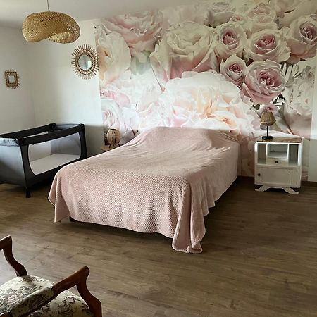 Chez Ghislaine Villa Saint-Appolinard  Buitenkant foto